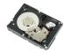 Dell - Komplet za stranke - trdi disk - 12 TB - 512e, ISE 