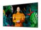 Samsung QB55C QBC Series - 55-palčni LCD zaslon z LED osvetljenjem - Crystal UHD - 4K 