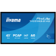 Iiyama T4329AS-B1AG, INTERACTIVE FLAT panel, 108 cm (42.5"), LED