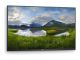 Dell P5524Q 55" razred (viden 54,6" ) LCD zaslon z osvetlitvijo LED - 4K - za konferenco