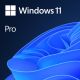 Windows 11 Pro - licenca - 1 licenca
