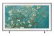 LIFESTYLE FRAME TV SAMSUNG 55LS03B
