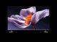 Xiaomi TV S PRO Mini LED 55 2026